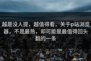 越是没人提，越值得看，关于p站浏览器，不是最热，却可能是最值得回头翻的一条