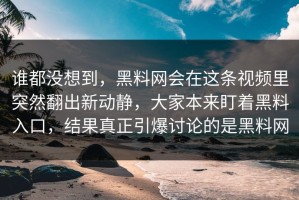 谁都没想到，黑料网会在这条视频里突然翻出新动静，大家本来盯着黑料入口，结果真正引爆讨论的是黑料网