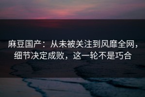 麻豆国产：从未被关注到风靡全网，细节决定成败，这一轮不是巧合