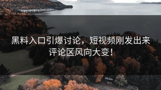 黑料入口引爆讨论，短视频刚发出来评论区风向大变！