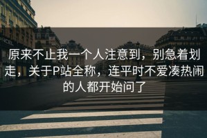 原来不止我一个人注意到，别急着划走，关于P站全称，连平时不爱凑热闹的人都开始问了