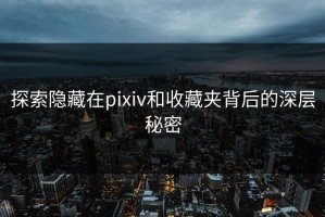 探索隐藏在pixiv和收藏夹背后的深层秘密