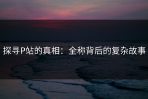 探寻P站的真相：全称背后的复杂故事