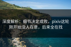 深度解析：细节决定成败，pixiv这轮刚开始没人在意，后来全在找