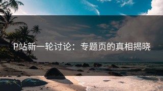 P站新一轮讨论：专题页的真相揭晓