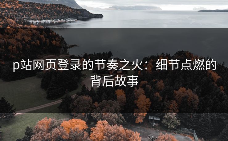 p站网页登录的节奏之火:细节点燃的背后故事 p站网页登录的节奏之火:细节点燃的背后故事