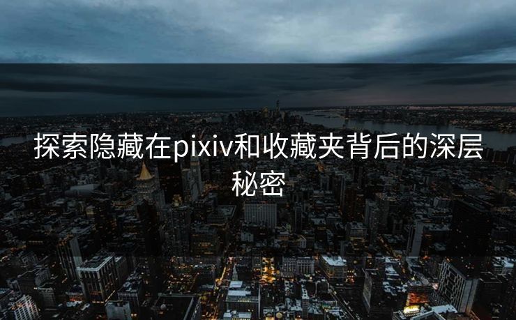 探索隐藏在pixiv和收藏夹背后的深层秘密