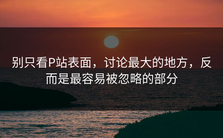 别只看P站表面，讨论最大的地方，反而是最容易被忽略的部分