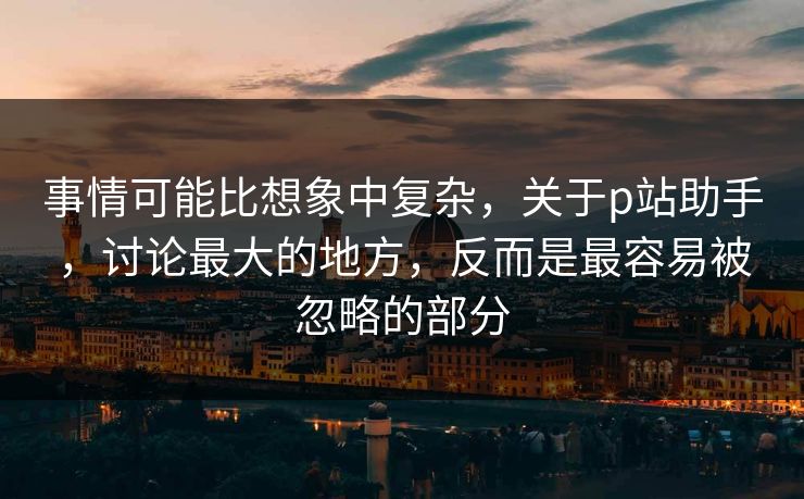 事情可能比想象中复杂，关于p站助手，讨论最大的地方，反而是最容易被忽略的部分