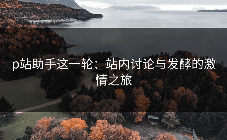 p站助手这一轮：站内讨论与发酵的激情之旅