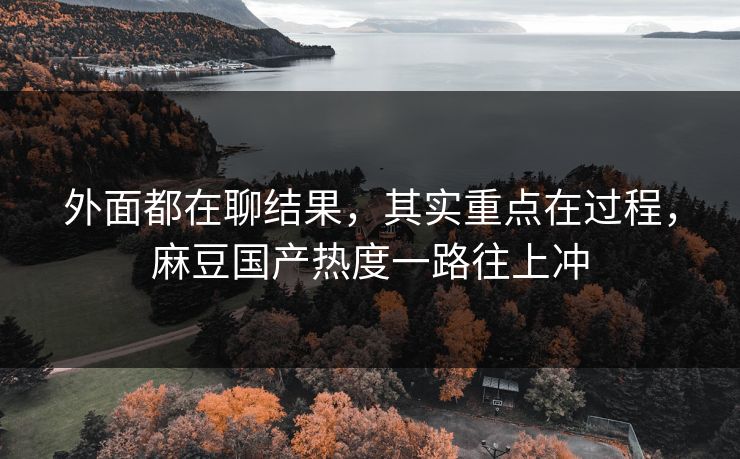 外面都在聊结果，其实重点在过程，麻豆国产热度一路往上冲