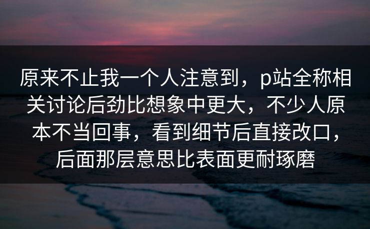 原来不止我一个人注意到，p站全称相关讨论后劲比想象中更大，不少人原本不当回事，看到细节后直接改口，后面那层意思比表面更耐琢磨